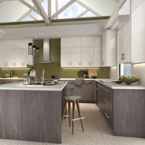 https://nscabinetsnj.com/wp-content/uploads/2025/08/kitchen-cabinets-adornus-ns-cabinets-1-300x300.jpeg